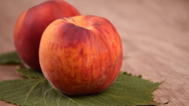 Fazendo sucos de frutas e vegetais