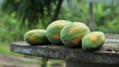 O sabonete clareador de pele totalmente natural com ácido kójico